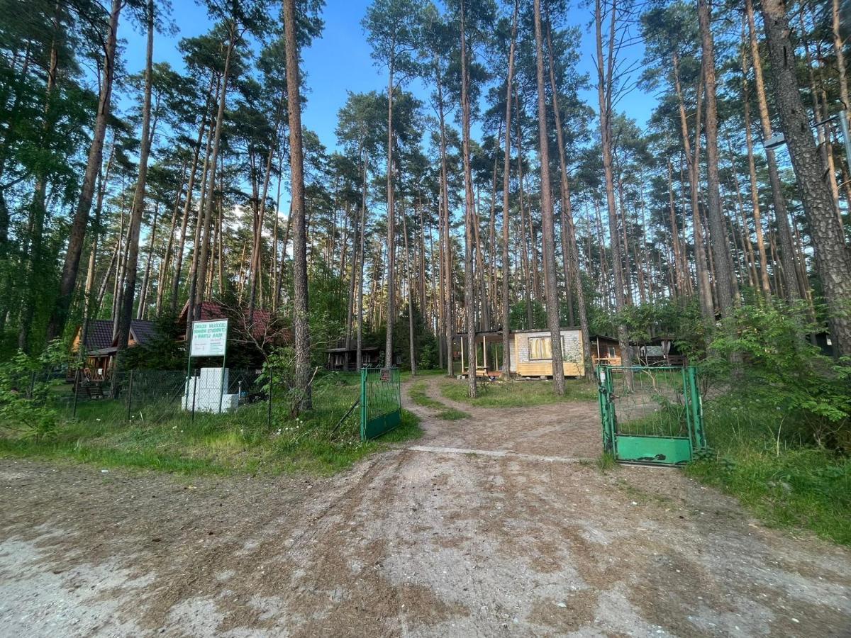 Domek Letniskowy Nad Jeziorem, Las, Mazury Wiartel Maly Bagian luar foto